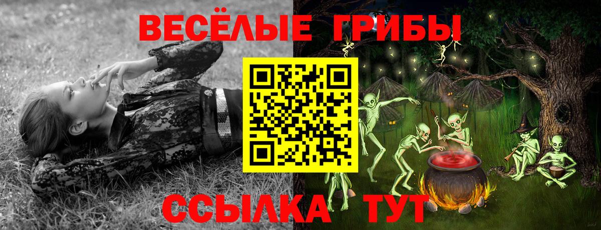Глазов  Псилоцибиновые грибы Magic Shrooms  Вход с VPN 