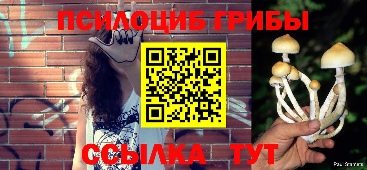 Псилоцибиновые грибы мицелий Глазов
